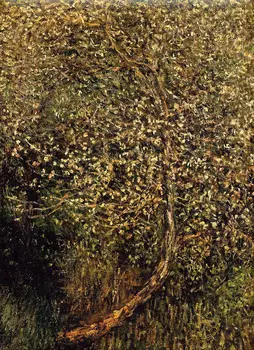 100% - ban kézzel készített Olaj Festmény Reprodukció, a vászon, a vásznon, a múzeumi minőségű,alma fák virágoznak a víz Claude Monet