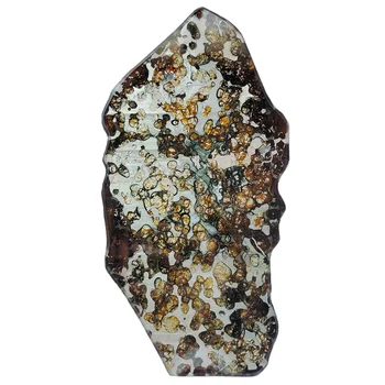 Brenham Olive Meteorit Szelet Pallasite Olive Meteorit Példány Természetes Meteorit Anyag Minta Gyűjtemény