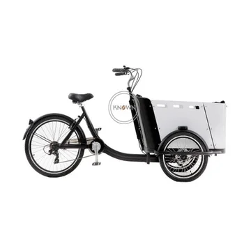 2021 Új Kerékpár Pedál Felnőtt Tricikli 3 Kerekek, Elektromos Cargo Bike-250W Hátsó Motor szállítására Gyerekek, Háziállatok Eladó